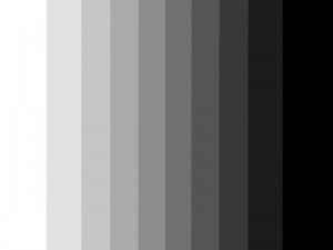 800px-Gray_scale-300x225